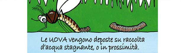 Deposizione uova