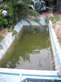 Piscina in disuso