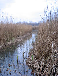 canneto