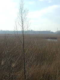 lago di Porta